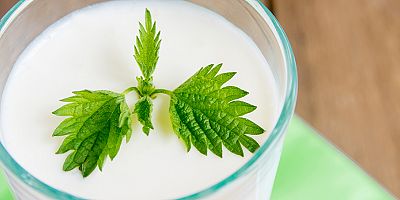 Araştırmalara göre süt ürünleri, susuzluğu gidermede etkili bir seçenek