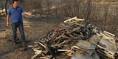 Arıcılara topyekün destek çağrısı