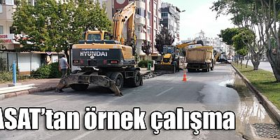 ASAT’tan örnek çalışma