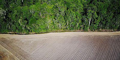 AstraZeneca Umut Ormanı için 80 bin fidan bağışı