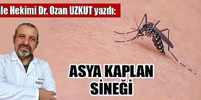 ASYA KAPLAN SİNEĞİ