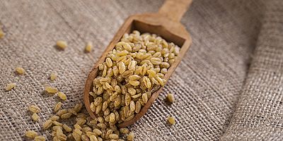 Ata Tohumu Ahmet Buğdayı Projesi Tamamlandı