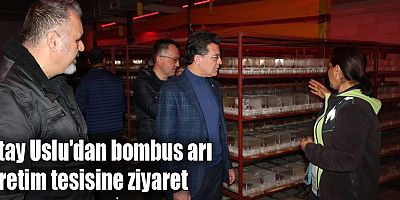 Atay Uslu'dan bombus arı üretim tesisine ziyaret