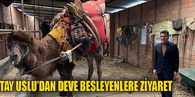 Atay Uslu'dan deve besleyenlere ziyaret