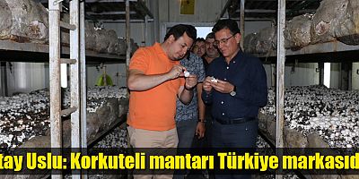 Atay Uslu: Korkuteli mantarı Türkiye markasıdır