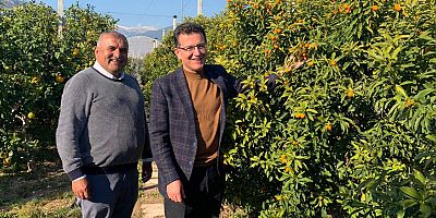 Atay Uslu örnek kamkat bahçesini gezdi