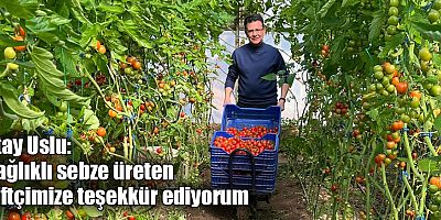 Atay Uslu: Örtü altında organik üretime desteğimiz artacak