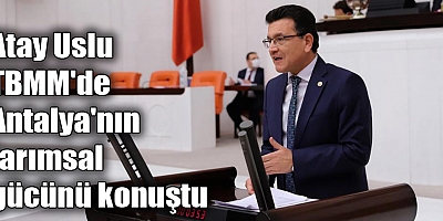 Atay Uslu TBMM'de Antalya'nın tarımsal gücünü konuştu