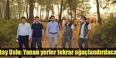 Atay Uslu: Yanan yerler tekrar ağaçlandırılacak