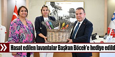 Atıl arazi lavanta bahçesine dönüştü