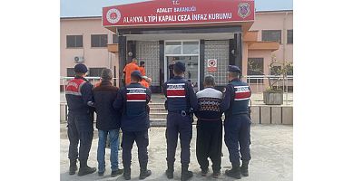 Avokado hırsızları Jandarma ekiplerince yakalandı