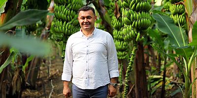 Avokado temalı tropikal meyve festivali başlıyor