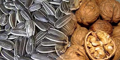 Ay Çekirdeği ve cevizde Yeni Gümrük Vergisi belirlendi