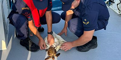 Ayağı çuvala dolanan deniz kaplumbağası kurtarıldı