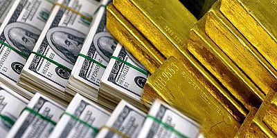 Aylık en yüksek reel getiri Amerikan dolarında oldu