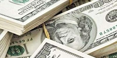 Aylık en yüksek reel getiri Amerikan dolarında oldu