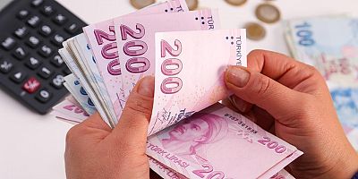 Aylık en yüksek reel getiri Devlet İç Borçlanma Senetleri (DİBS)'te oldu