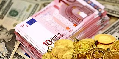 Aylık en yüksek reel getiri Euro'da oldu