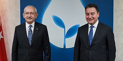 Babacan'dan Doğalgaz krizi tepkisi: ‘Affedilebilir bir hata değil’