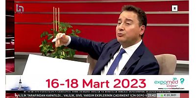 Babacan doğrudan yatırım formülünü açıkladı