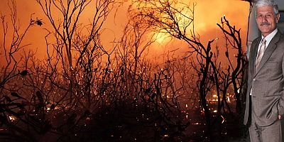 Babalara ve baba adaylarına çağrı: Dünyayı kurtarmak bizim elimizde