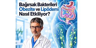 Bağırsak Bakterileri Obezite ve Lipödem bağlantıları