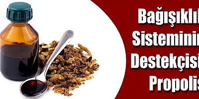Bağışıklık Sisteminin Destekçisi: Propolis