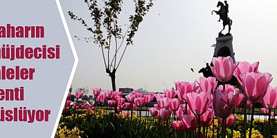 Bahar geldi, Antalya rengarenk oldu