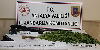 Bahçe ve arazilerinde uyuşturucu madde bulunan şahıslar yakalandı