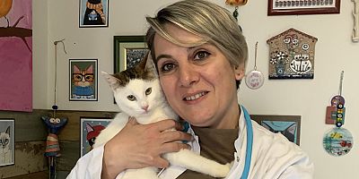 Bahçeniz yoksa sahip olmanız gereken en iyi 7 köpek