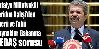 Bahşi'den Enerji ve Tabii Kaynaklar Bakanına TEDAŞ sorusu