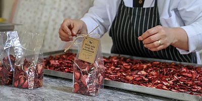 *Bakan Göktaş: “E- ticaret yapan kadın kooperatiflerine tek bir platform üzerinden erişim imkânı getiriyoruz”*