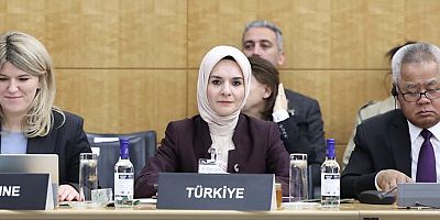 Bakan Göktaş'tan OECD Sosyal Politikalar Bakanlar Toplantısı'nda 