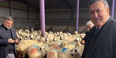 Bakan Koca”19 bin 278 kişiye hayvandan hastalık bulaştı”