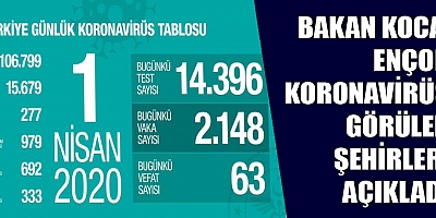 Bakan Koca ençok koronavirüs görülen illeri açıkladı