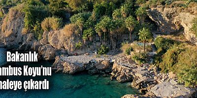 Bakanlık Bambus Koyu’nu ihaleye çıkardı