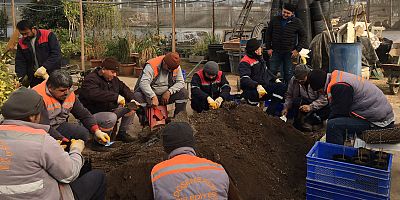 Bakıma alınan fidanlar toprakla buluşacak