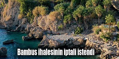 Bambus ihalesinin iptali istendi