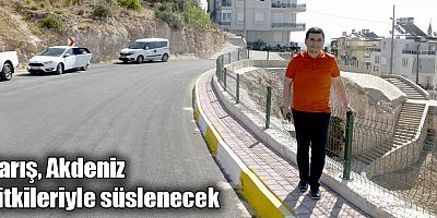 Barış Akdeniz bitkileriyle süslenecek
