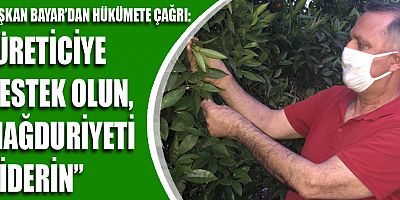 Başkan Bayar'dan hükümete 