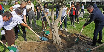 Başkan Böcek gençlerle barış için zeytin ağacı dikti