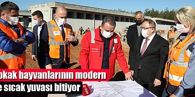 Başkan Böcek Sokak Hayvanları Bakım Evi’ni gezdi