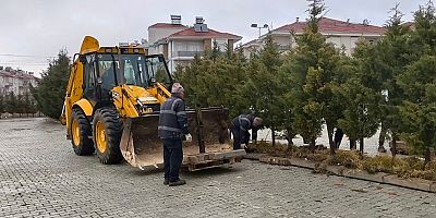 Başkan Caran'dan örnek uygulama. Ağaçlar taşındı, doğa korundu