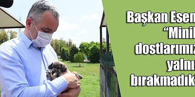 Başkan Esen:  “Minik dostlarımızı yalnız bırakmadık” 