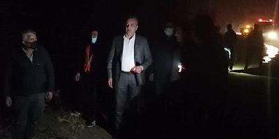 Başkan Esen, orman yangını bölgesinde