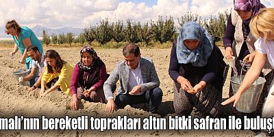 Başkan Muhittin Böcek’in yerelden kalkınma hamlesi adım adım ilerliyor