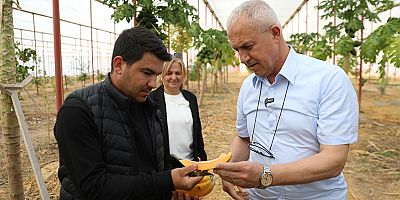 Başkan Özçelik Hobi Bahçesi ve Tropikal Meyve Serası'nda incelemelerde bulundu