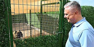 Başkan Uysal: 'Denge Sağlanmalı'