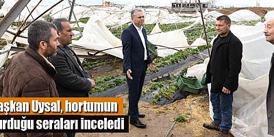 Başkan Uysal, hortumun vurduğu seraları inceledi