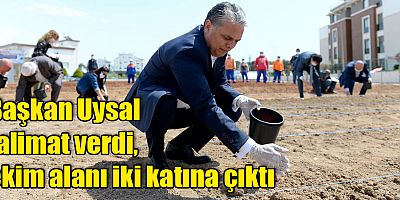 Başkan Uysal talimat verdi, ekim alanı iki katına çıktı